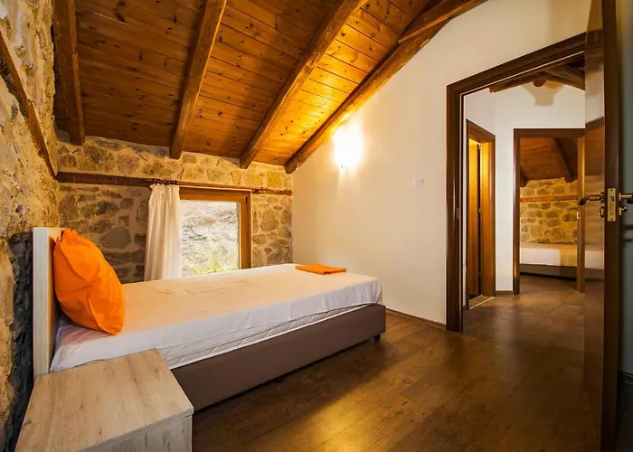 Petrini Spiti *